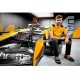 Шуруповерт ударний McLaren F1 TEAM LIMITED EDITION DeWALT DCF85ME2GT